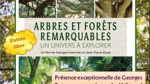 Projection du film Arbres et forêts remarquables